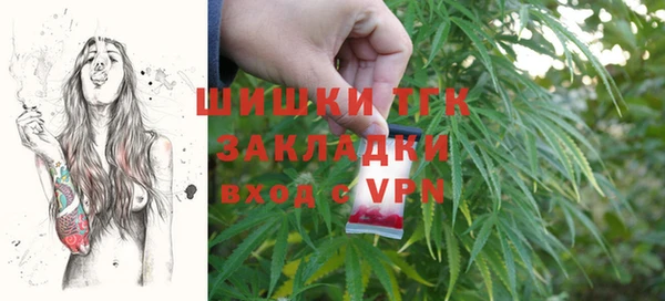 шишки Болотное