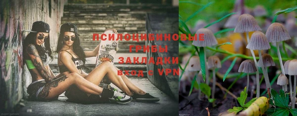 прущая мука Богданович